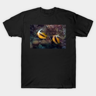 banner fish T-Shirt